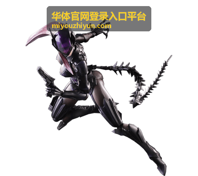 华体官网登录入口平台登录记录与操作查询界面示意